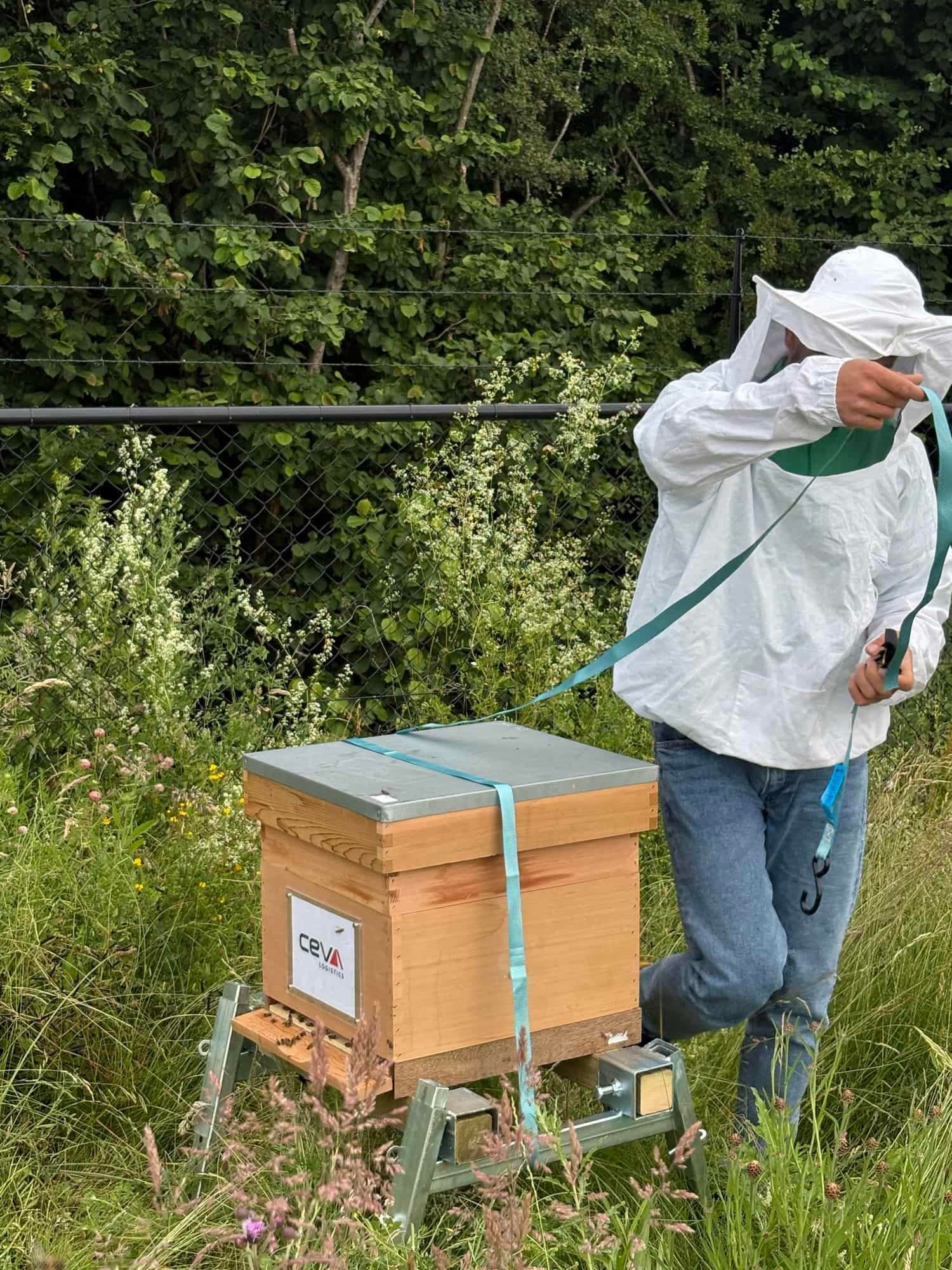 Foto uit de bijenstal van Holland Bijen 6