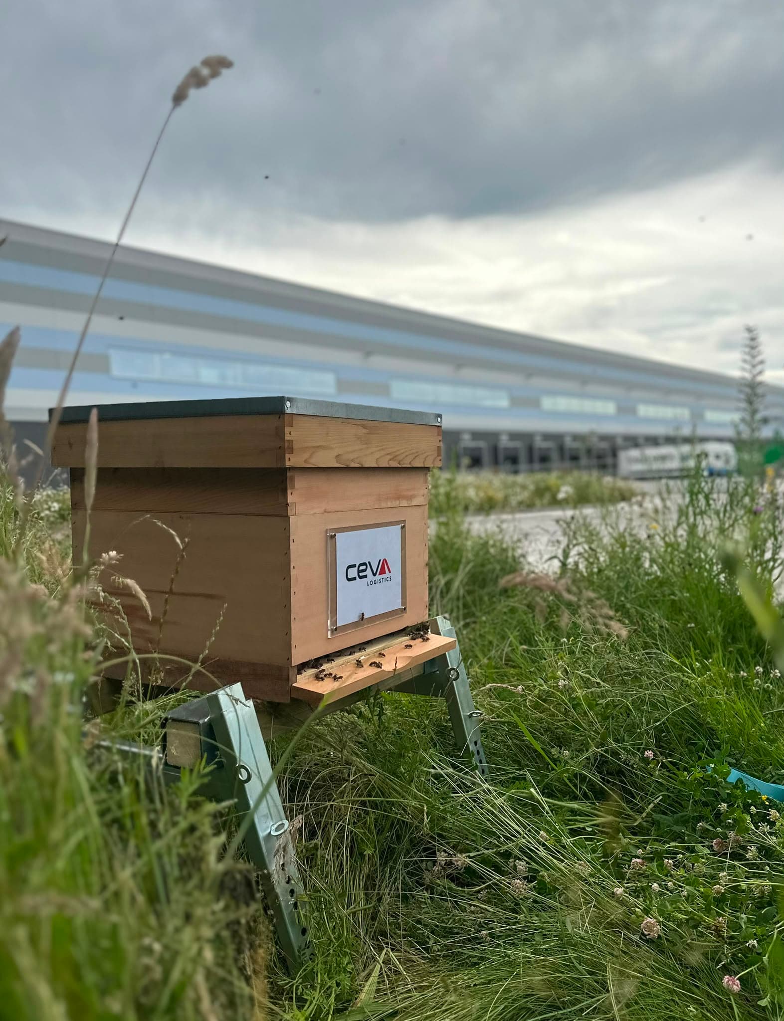 Bijenkasten geplaatst bij CEVA Logistics 3