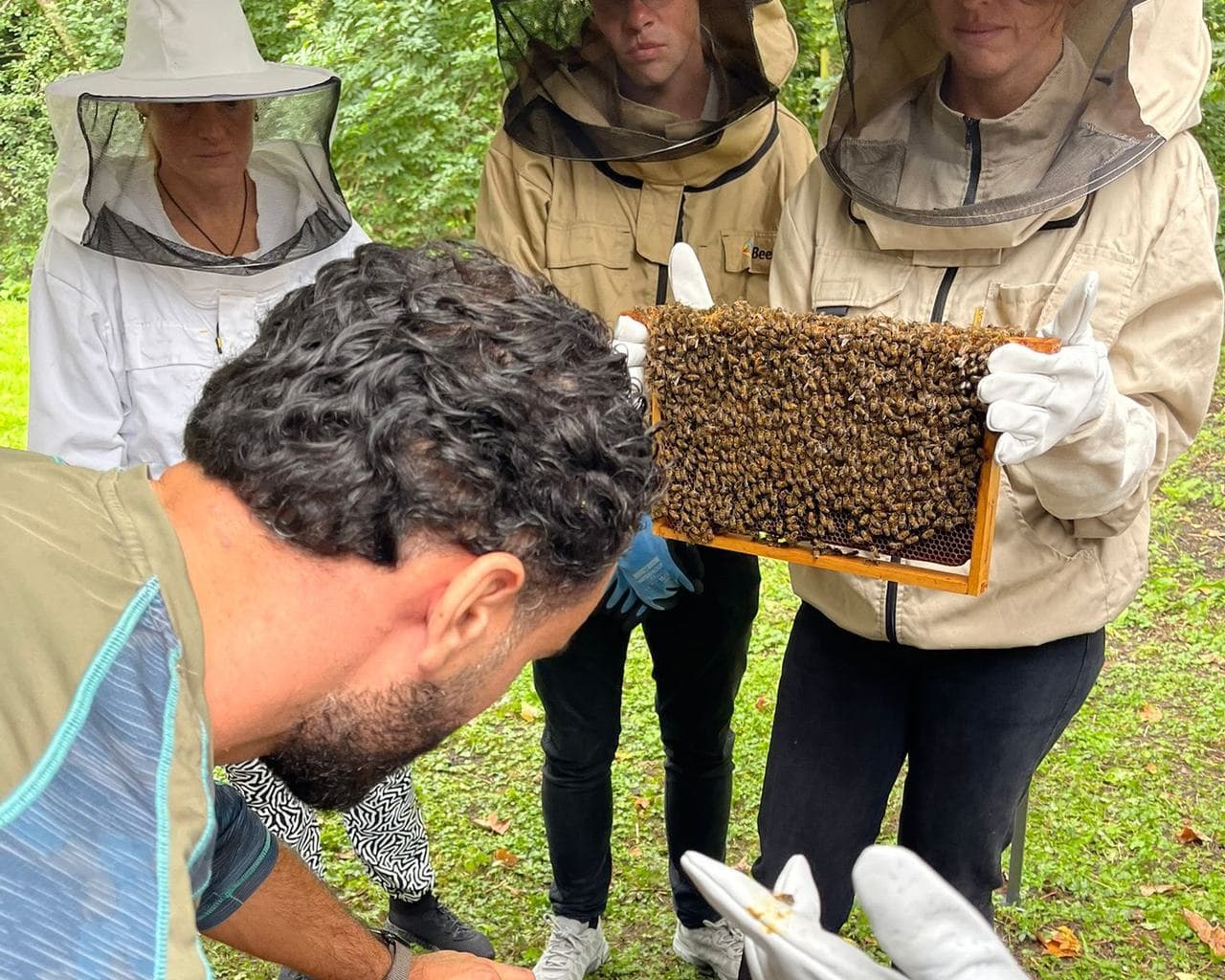 Deelnemers in imkerpak bekijken samen een raat vol bijen