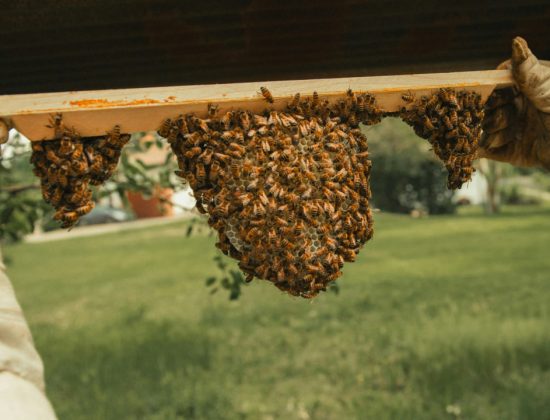 733816624930edf86cac180b04d7ee16a748f259