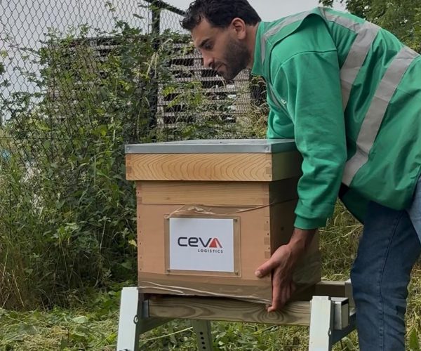 CEVA locations